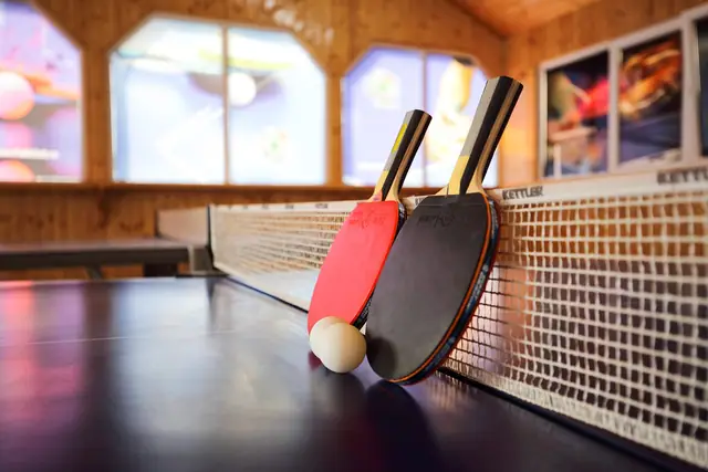 Table tennis — Greenfield Club — photo 2