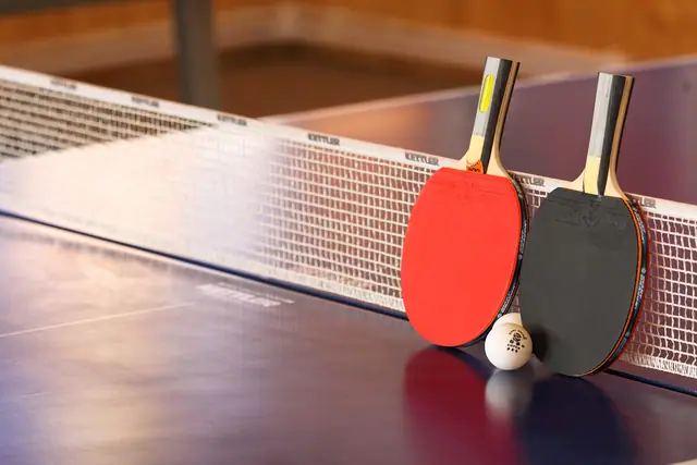 Table tennis — Greenfield Club — photo 3