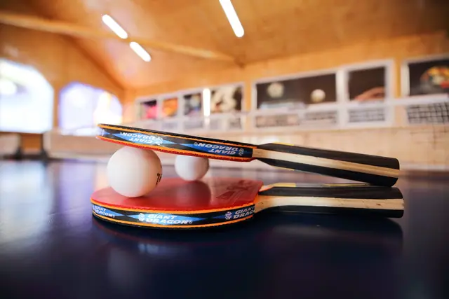 Table tennis — Greenfield Club — photo 5